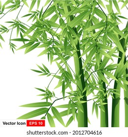 Antecedentes con tallos de bambú. Tallos de bambú con tema plano de hojas verdes de estilo realista aislados en blanco. Ilustración vectorial de una planta tropical. Grupo de bambú.