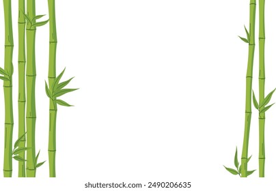 Background from bamboo stalks. Tropical and Asian plant. Green and brown plant stems, decorative elements. Vector illustration