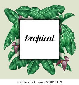 Background with banana leaves. Decorative image of tropical foliage, flowers and fruits. Design Image for advertising booklets, banners, flayers, cards.