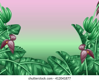 Background with banana leaves. Decorative image of tropical foliage, flowers and fruits. Design for advertising booklets, banners, flayers, cards.