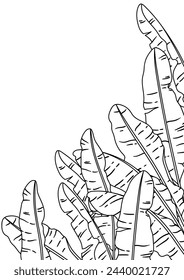 Background with banana palm leaves. Decorative image of tropical foliage and plants.