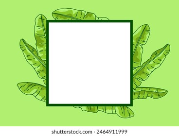 Background with banana palm leaves. Decorative image of tropical foliage and plants.