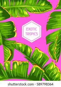 Background with banana palm leaves. Decorative tropical foliage.