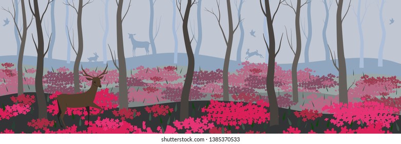 Background for banners, web pages and other fairy forest with wild animals vector image