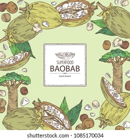 Background with baobab: baobab fruit, seeds, tree and leaves. Super food. Vector hand drawn illustration