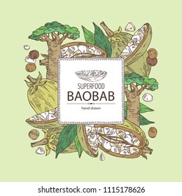 Background with baobab: baobab fruit, seeds, tree and leaves. Super food. Vector hand drawn illustration