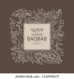 Background with baobab: baobab fruit, seeds, tree and leaves. Super food. Vector hand drawn illustration