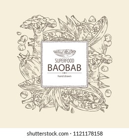 Background with baobab: baobab fruit, seeds, tree and leaves. Super food. Vector hand drawn illustration