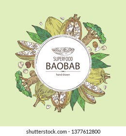 Background with baobab: baobab fruit, seeds, tree and leaves. Super food. Vector hand drawn illustration