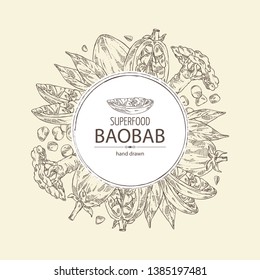 Background with baobab: baobab fruit, seeds, tree and leaves. Super food. Vector hand drawn illustration