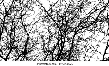 Background bare tree branches. Vector