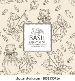 Background With Basil Leaf  And Bottle Of Basil Essential Oil. Cosmetic, Perfumery And Medical Plant. Vector Hand Drawn Illustration.