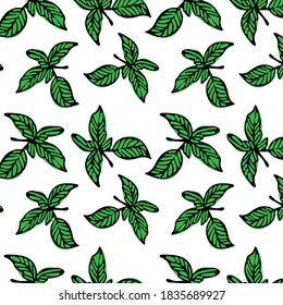 Background with basil. Thanksgiving Day. Vector illustration.