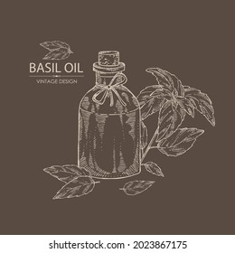 Fondo con albahaca: hoja, planta de albahaca y botella de aceite esencial de albahaca. Cosmética, perfumería y planta médica. Ilustración dibujada a mano por vectores.
