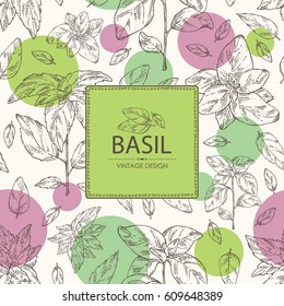 Background with basil:leaf and plant. Hand drawn.