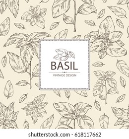 Background With Basil:leaf And Plant. Hand Drawn