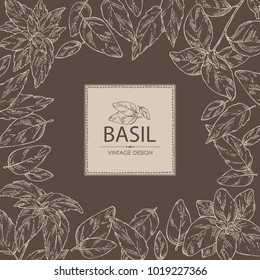 Background with basil:leaf and plant. Vector hand drawn illustration