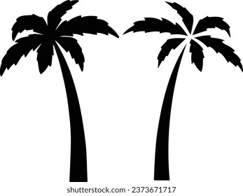 background, beach, black, botany, branch, coconut, element, exotic, floral, forest, hawaii, icon, illustration, island, isolated, leaf, natural, nature, palm, plant, silhouette, summer, travel, tree, 