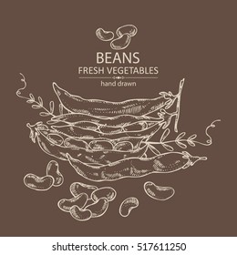 Background with beans . hand drawn.