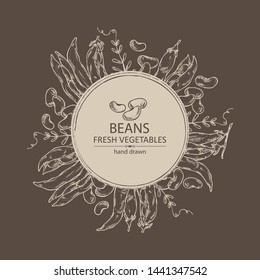 Background with beans: beans pod and plant. Vector hand drawn illustration