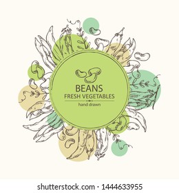 Background with beans: beans pod and plant. Vector hand drawn illustration