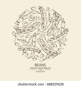 Background with beans . Vector hand drawn illustration