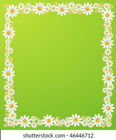 background with beautiful camomil for the day of sainted Valentine