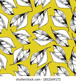 Background with beautiful leaves. Large leaves of magnolia. Coloring book for children and adults with delicate beautiful spring leaves. Background for textiles, wallpaper, paper, packaging.