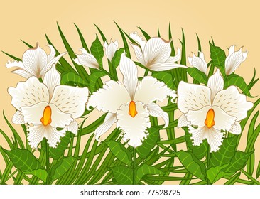 Background with beautiful orchids