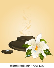 Background with beautiful orchids and stones. Vector Illustration