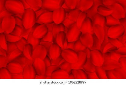 Background of beautiful red rose petals. vector texture.