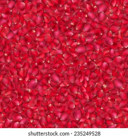 Background of beautiful red rose petals. EPS 10 vector file included