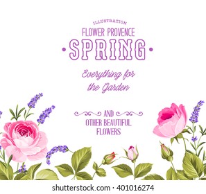 Background with beautiful rose and lavender. Vector illustration.