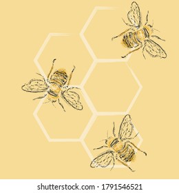 Similar Images, Stock Photos & Vectors of Set of vintage honey labels ...