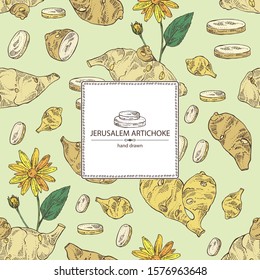 Background with beet: full Jerusalem artichoke and piece of artichoke. Vector hand drawn illustration