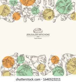 Background with beet: full Jerusalem artichoke and piece of artichoke. Vector hand drawn illustration