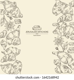 Background with beet: full Jerusalem artichoke and piece of artichoke. Vector hand drawn illustration