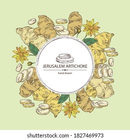 Background with beet: full Jerusalem artichoke and piece of artichoke. Vector hand drawn 