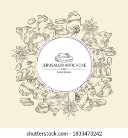 Background with beet: full Jerusalem artichoke and piece of artichoke. Vector hand drawn 