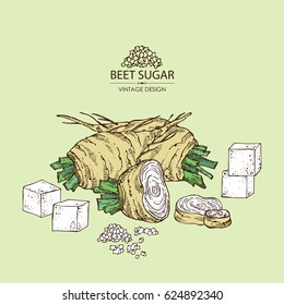Background with beet sugar: sugar and beet. Hand drawn