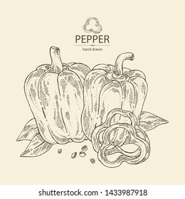 Background with bell pepper,: a piece of bell pepper, and seeds. Vector hand drawn illustration.