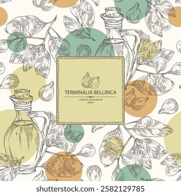 Background with bellirica: terminalia bellirica plant, leaves, fruit and bottle of terminalia bellirica oil. Bibhitaki fruit. Vector hand drawn illustration.