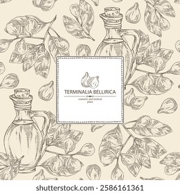 Background with bellirica: terminalia bellirica plant, leaves, fruit and bottle of terminalia bellirica oil. Bibhitaki fruit. Vector hand drawn illustration.