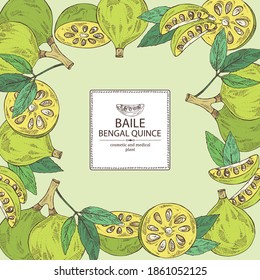 Background with bengal quince: baile fruit and bengal quince slice. Sacred plant. Cosmetic and medical plant. Vector hand drawn illustration