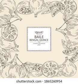 Background with bengal quince: baile fruit and bengal quince slice. Sacred plant. Cosmetic and medical plant. Vector hand drawn illustration