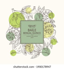 Background with bengal quince: baile fruit and bengal quince slice. Sacred plant. Cosmetic and medical plant. Vector hand drawn illustration