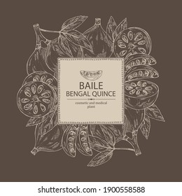 Background with bengal quince: baile fruit and bengal quince slice. Sacred plant. Cosmetic and medical plant. Vector hand drawn illustration