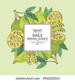 Background with bengal quince: baile fruit and bengal quince slice. Sacred plant. Cosmetic and medical plant. Vector hand drawn illustration