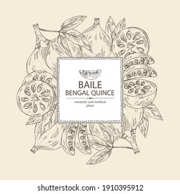 Background with bengal quince: baile fruit and bengal quince slice. Sacred plant. Cosmetic and medical plant. Vector hand drawn illustration