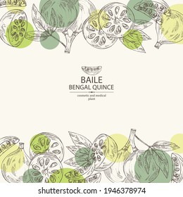 Background with bengal quince: baile fruit and bengal quince slice. Sacred plant. Cosmetic and medical plant. Vector hand drawn illustration